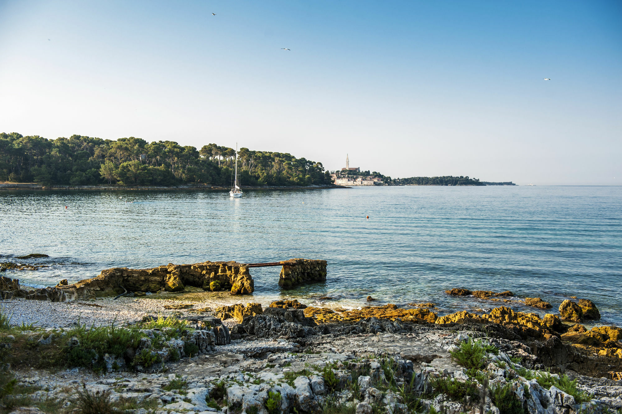 Apartments Villa Borik Rovinj Exterior foto