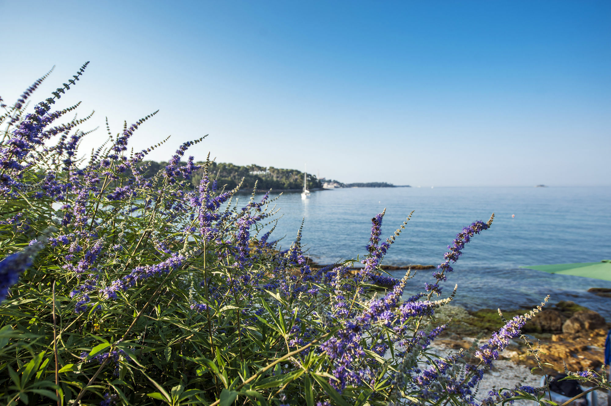 Apartments Villa Borik Rovinj Exterior foto
